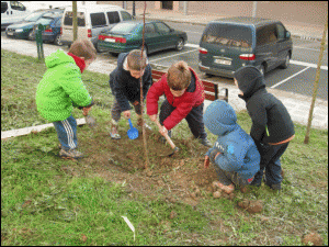 Zuhaitz landareak sartzen.