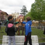 OLYMPUS DIGITAL CAMERA