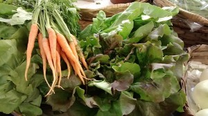 batabia_azenarioak_1[1]