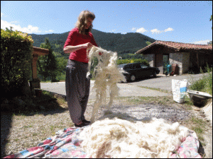 Artilea eguzkitan lehortzen./Aimar Maiz