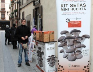 Etxeko perretxikoak