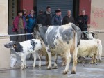 Abenduko Feria, Gernikako Arbola plazan