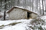 Elurtea iruditan