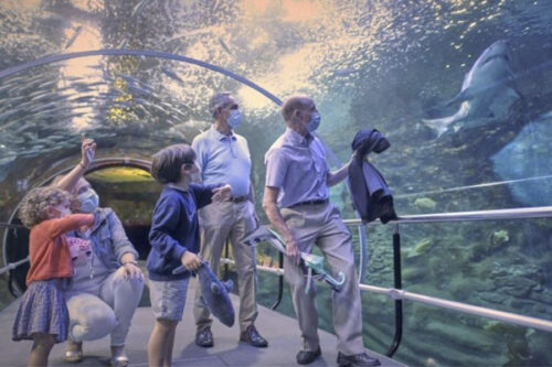 AQUARIUMERA SARRERAK